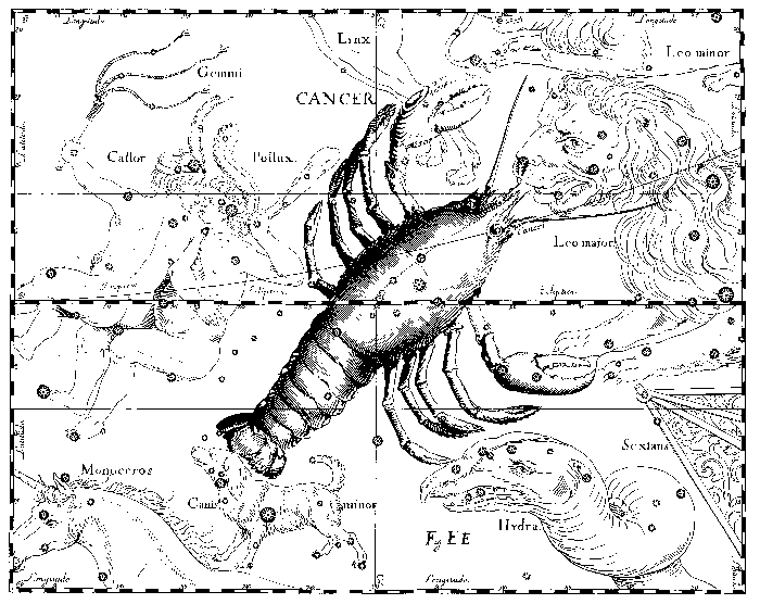 Рак