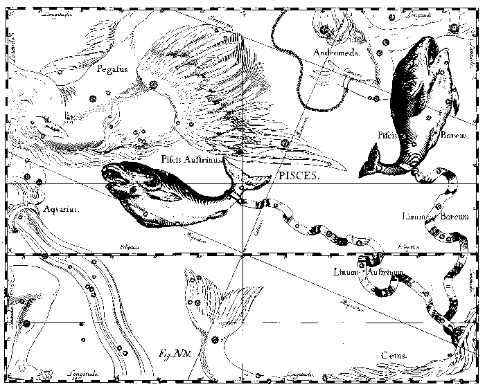 Рыбы